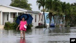 Seorang perempuan berjalan di dekat rumah kediamannya yang banjir di Davie, Florida, 7 September 2017. Dengan adanya ancaman Badai Irma yang bergerak menuju kawasan Florida, analisa Associated Press menunjukkan jumlah polis asuransi banjir federal yang ditulis di negara tersebut turun sebesar 15 persen . (AP Photo / Lynne Sladky, File)