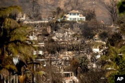 Sebuah rumah berdiri di antara tempat tinggal yang hancur akibat kebakaran di kawasan Pacific Palisades, Los Angeles, 12 Januari 2025. (Noah Berger/AP)