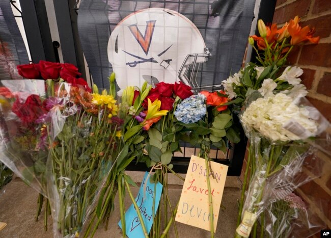 FILE - Memorial flowers and notes line walkway at Scott Stadium after three football players were killed in a shooting on the grounds of the University of Virginia on Nov. 15, 2022. (AP Photo/Steve Helber)