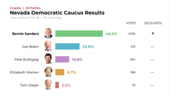 Nevada Democratic Caucus, Partial Results