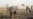 US, Allies Bracing for More IS Incursions in Iraq