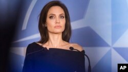 Aktris dan aktivis Angelina Jolie 