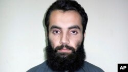 Anis Haqqani, thủ lãnh hàng đầu của mạng lưới Haqqani, có liên hệ với al-Qaida và là em của Sirajuddin Haqqani một thủ lãnh của mạng lưới này