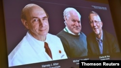 Harvey J. Alter, Michael Houghton y Charles M. Rice, aparecen en una pantalla como los tres ganadores del Premio Nobel de Fisiología o Medicina 2020, durante una conferencia de prensa el lunes 5 de octubre de 2020 en Estocolmo. 