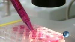 Майбутнє медицини: використання стовбурових клітин для вирощування органів? Відео