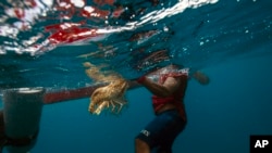 FILE - A diver holds onto his catch of lobsters during a fishing journey in the Miskito coast near Cay Savannah, Honduras, Sept. 9, 2018.
