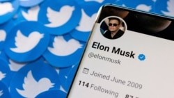 Quiz - Elon Musk Proposes Paid Twitter Verification Model