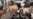 Livestock Epidemic Spreading in DRC