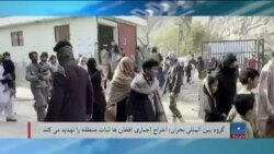 گروه بین المللی بحران: اخراج گروهی مهاجرین افغان از پاکستان تهدید به ثبات منطقه است - برنامهٔ سه‌شنبه خبری آشنا