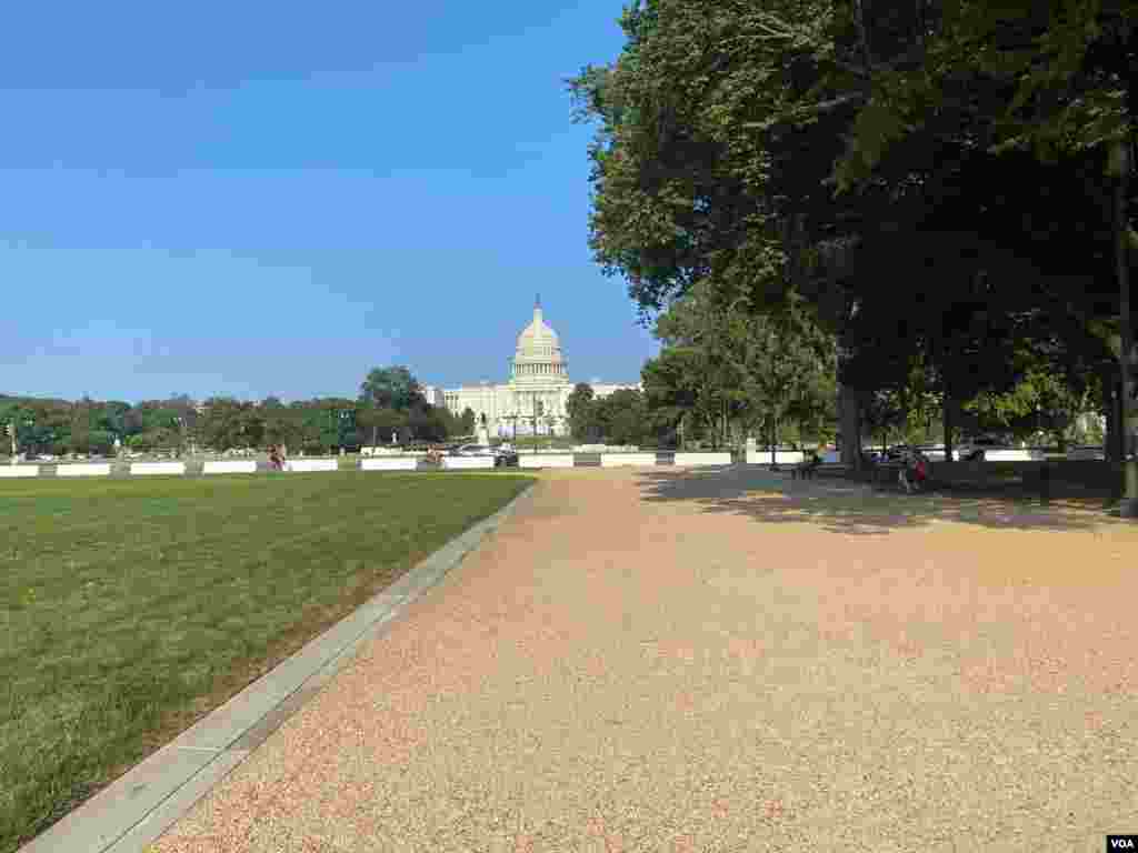 En Washington, la tradici&#243;n es celebrar el 4 de julio en la popular Alameda Nacional. Sin embargo, este a&#241;o, en medio de la pandemia del coronavirus y siendo EE.UU. el pa&#237;s con m&#225;s contagios, las celebraciones cambiaron. Foto: J&#250;lia Riera - VOA.