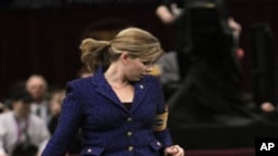 Scottish deerhound Foxcliffe Hickory Wind is led in the ring during competition at the 135th Westminster Kennel Club Dog Show. The dog won the hound division, February 14, 2011