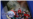 16x9 Image
