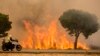 Forest Fire in Spain Threatens Renowned National Park