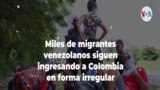 Miles de migrantes venezolanos siguen ingresando a Colombia en forma irregular