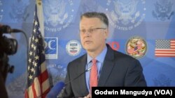 Acting Deputy Assistant Secretary Bureau of African Affairs, Matthew T. Harrington