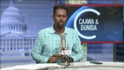 Caawa iyo Dunida
