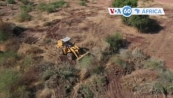 Manchetes africanas 1 dezembro: Sudão inicia abate de árvores para dar espaço a refugiados da Etiópia