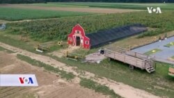 SAD: Farma koja je postala park