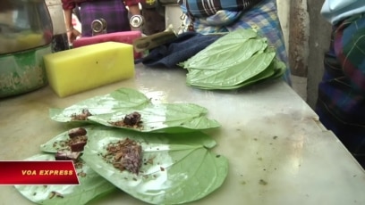 Mặc nguy cơ ung thư, nhai trầu vẫn phổ biến ở Myanmar
