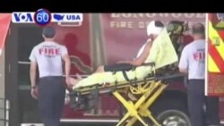 Cá sấu tấn công 1 cậu bé ở Florida, Mỹ