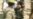 16x9 Image