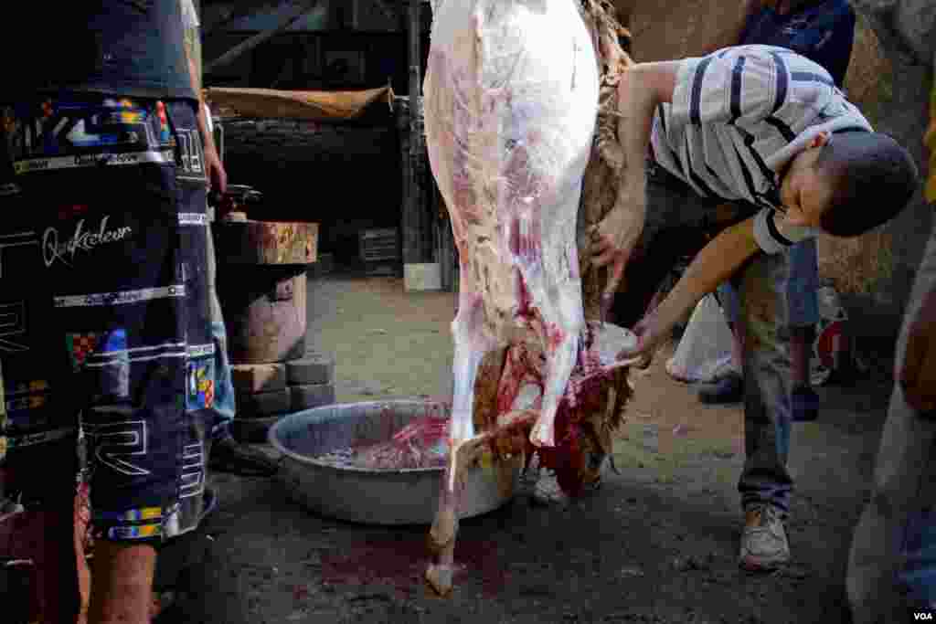 Butcher Hossam Hassan cuts lamb during Eid Al-Adha rituals in Maadi, Cairo, Oct. 15, 2013. (Hamada Elrasam for VOA)