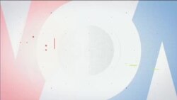 اخبار شامگاهی