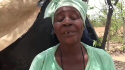 Elderly Woman Harvesting Macimbi to Support Her Family