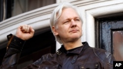 រូបឯកសារ៖ នៅក្នុង​រូបថត ថត​នៅ​ថ្ងៃទី ១៩ ខែឧសភា ឆ្នាំ២០១៧ នេះ លោក Julian Assange ស្ថាបនិក​គេហទំព័រ WikiLeaks បាន​ស្វាគមន៍​អ្នកគាំទ្រ​នៅខាងក្រៅ​ស្ថានទូត​អេក្វាឌ័រ​នៅ​ទីក្រុងឡុងដ៍ ទី​ដែល​លោក​បាន​និរទេស​ខ្លួនទៅ តាំងពី​ឆ្នាំ ២០១២។ 