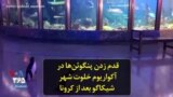 قدم زدن پنگو‌ئن‌ها در آکواریوم خلوت شهر شیکاگو بعد از کرونا