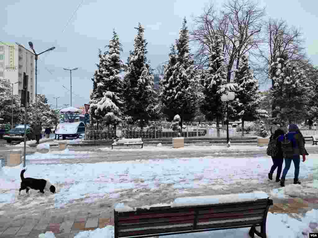 Shkodra snow 