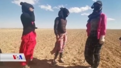 Li Tirkîyê Karkerên Demsalî di Şertên Dijwar de Dixebitin