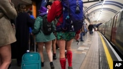 London menggelar "No Trousers Tube Ride" atau Hari Tanpa Celana Panjang di Kereta Bawah Tanah hari Minggu (12/1). 