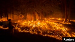 Un bombero lanza agua para contener las llamas en Fresh Pond, California donde arrasa el incendio King.