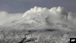 ARCHIVO - El volcán Nevado del Ruiz cerca de Villa María, Colombia, en julio de 2012.