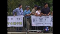麻雀护巢行动 在美抗议中国强拆
