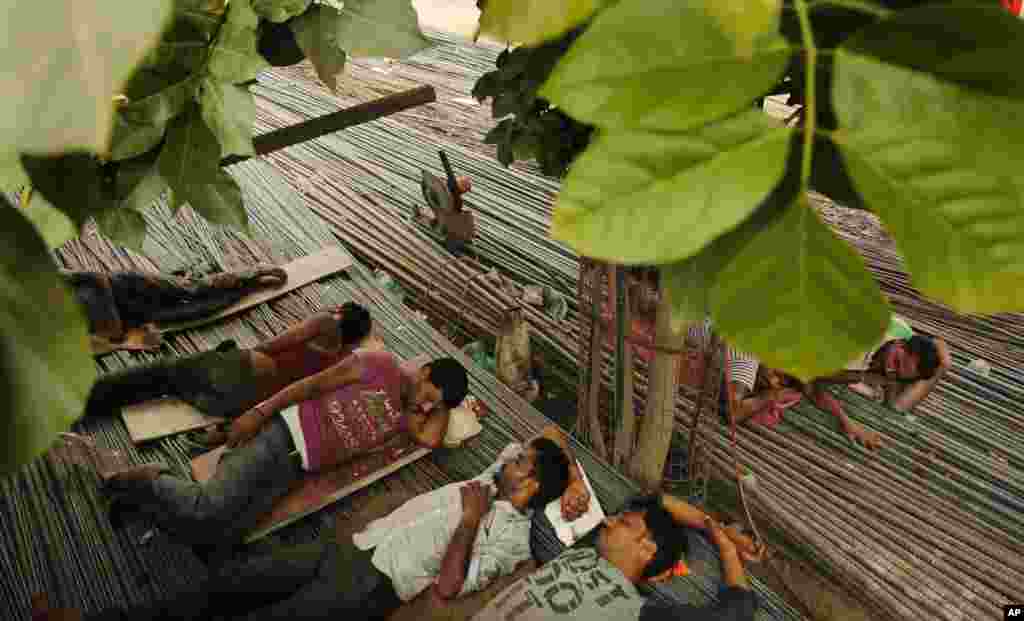 뜨거운 햇볕이 내리쬐는 인도&nbsp;우타르프라데시&nbsp;&lsquo;프라야그라지'에서 인부들이&nbsp; 나무 아래 그늘에서 잠을 자고 있다.