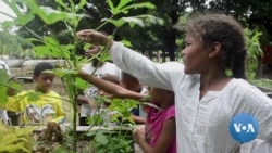 Ghana School Children Spend Holiday Break Learning About Ethical Agriculture