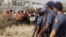 Police look on as women carry placards in protest against the killing of miners by the South African police on Thursday, outside a South African mine in Rustenburg, 100 kilometers northwest of Johannesburg, August 17, 2012.