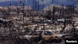Izgoreli automobili i drveće u gradu Lahaina