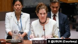 دروتی شی، سرپرست نمایندگی ایالات متحده در سازمان ملل متحد
