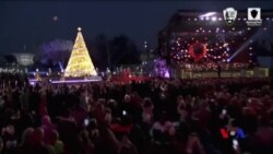 美國總統川普和第一夫人點亮國家聖誕樹