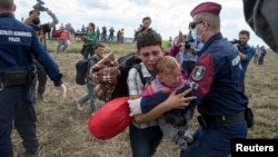 A migrant carrying a baby is stopped by Hungarian police officers as he tries to escape on a field nearby a collection point in the village of Roszke, Hungary, Sept. 8, 2015. 