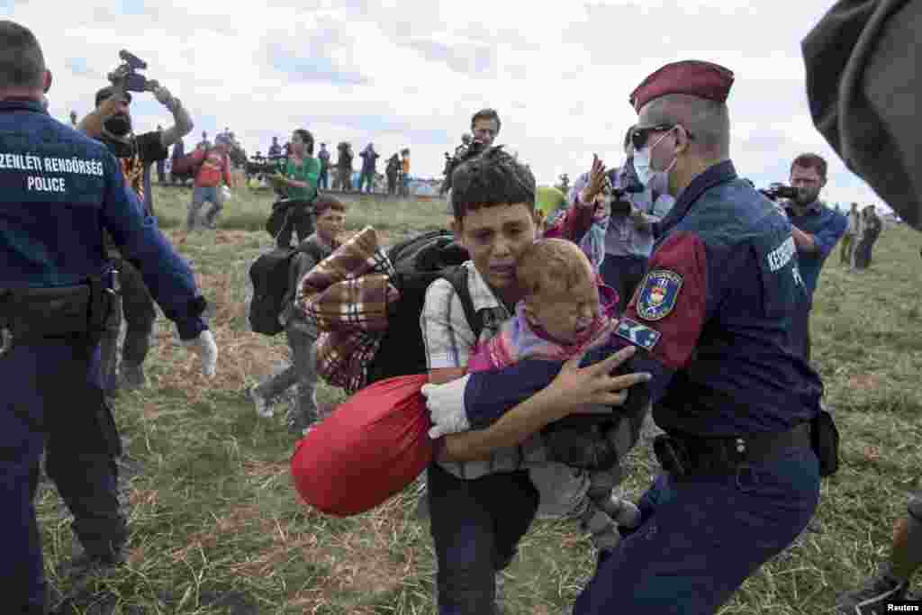 A migrant carrying a baby is stopped by Hungarian police officers as he tries to escape on a field nearby a collection point in the village of Roszke.