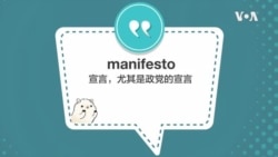 学个词 - manifesto