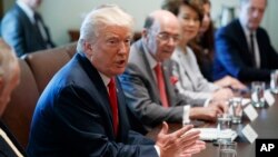 President Donald Trump speaks during a cabinet meeting in the Cabinet Room of the White House, July 31, 2017, in Washington. 