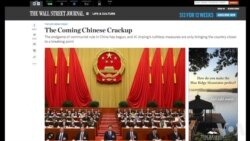 美学者：中国处于改革兴衰十字路口