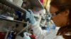 FILE - Research assistant Georgina Bowyer works on a vaccine for Ebola at The Jenner Institute in Oxford, southern England, Jan. 16, 2015. 