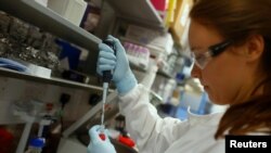 FILE - Research assistant Georgina Bowyer works on a vaccine for Ebola at The Jenner Institute in Oxford, southern England, Jan. 16, 2015. 