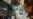 WHO, Partners Announce Ebola Vaccine Stockpile